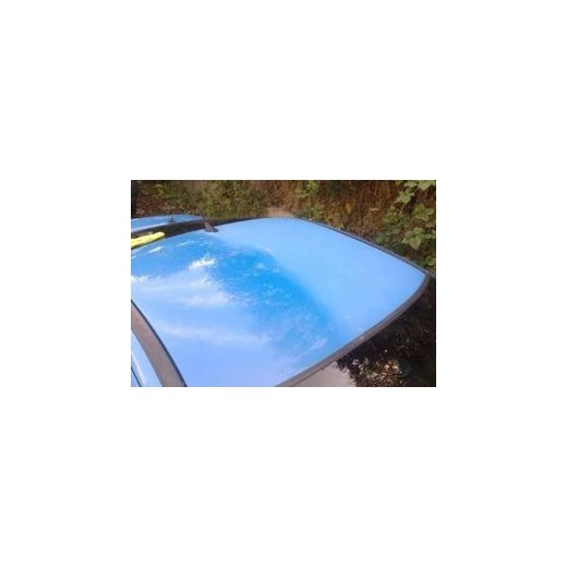 Paint Renovator 325 ml - Autoglym
