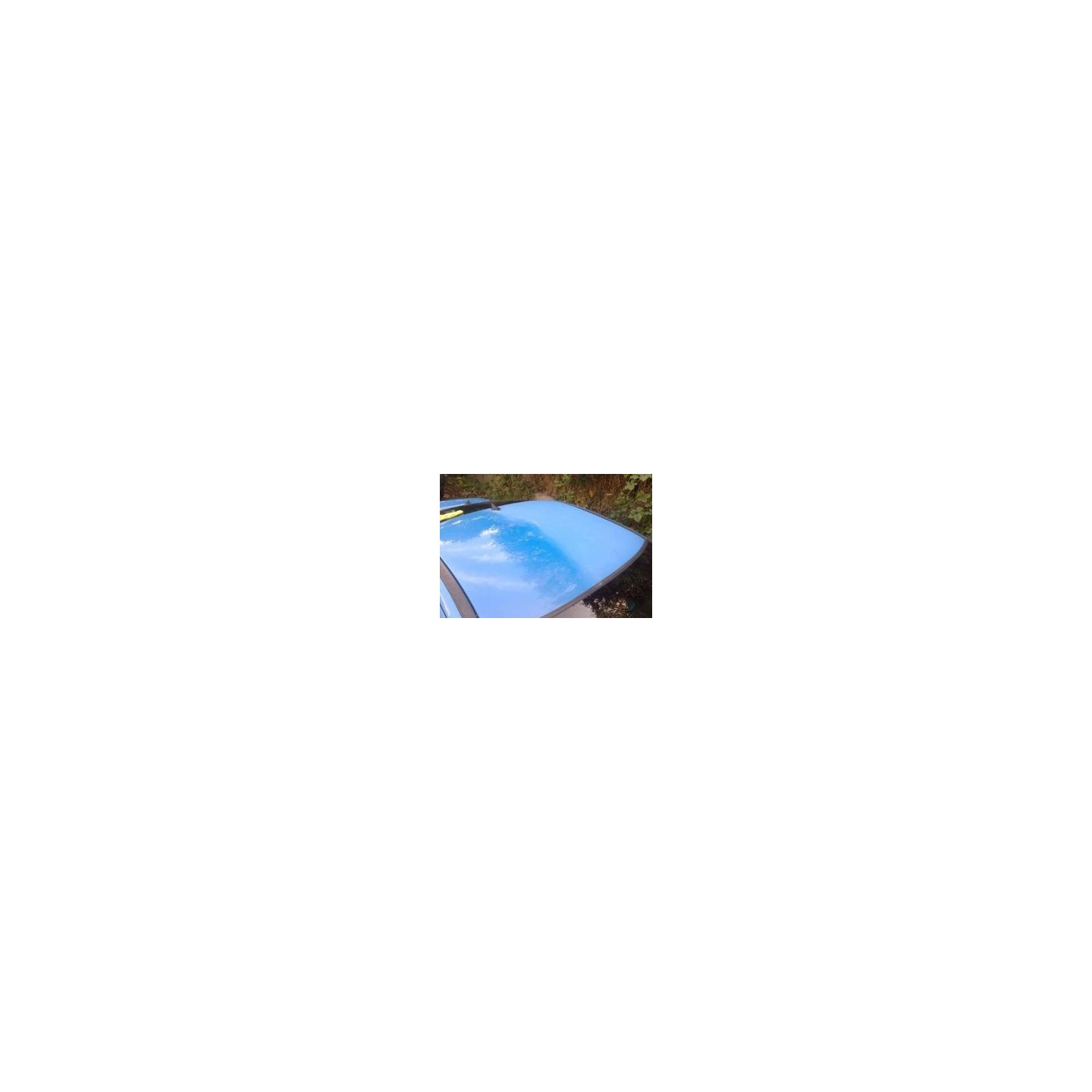 Paint Renovator 325 ml - Autoglym