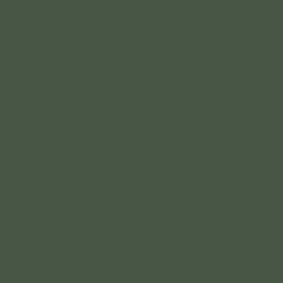 Rood RAL 3001 Hoogglans 500 gram