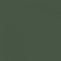 Legergroen RAL 6031 Mat 500 gram Poedercoat poeder