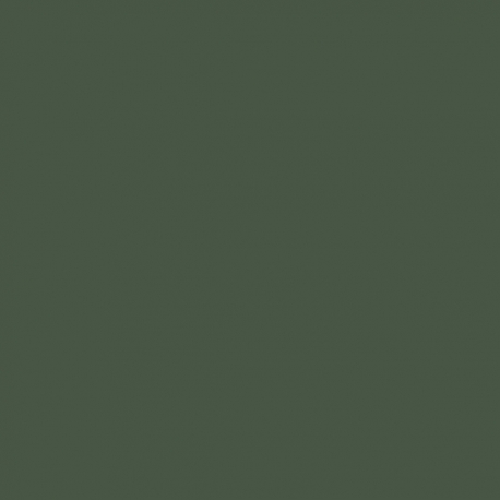 Legergroen RAL 6031 Mat 500 gram Poedercoat poeder