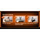 Rustyco Concentraat 1000 ml