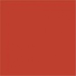 Koraal Rood glans 500 gram