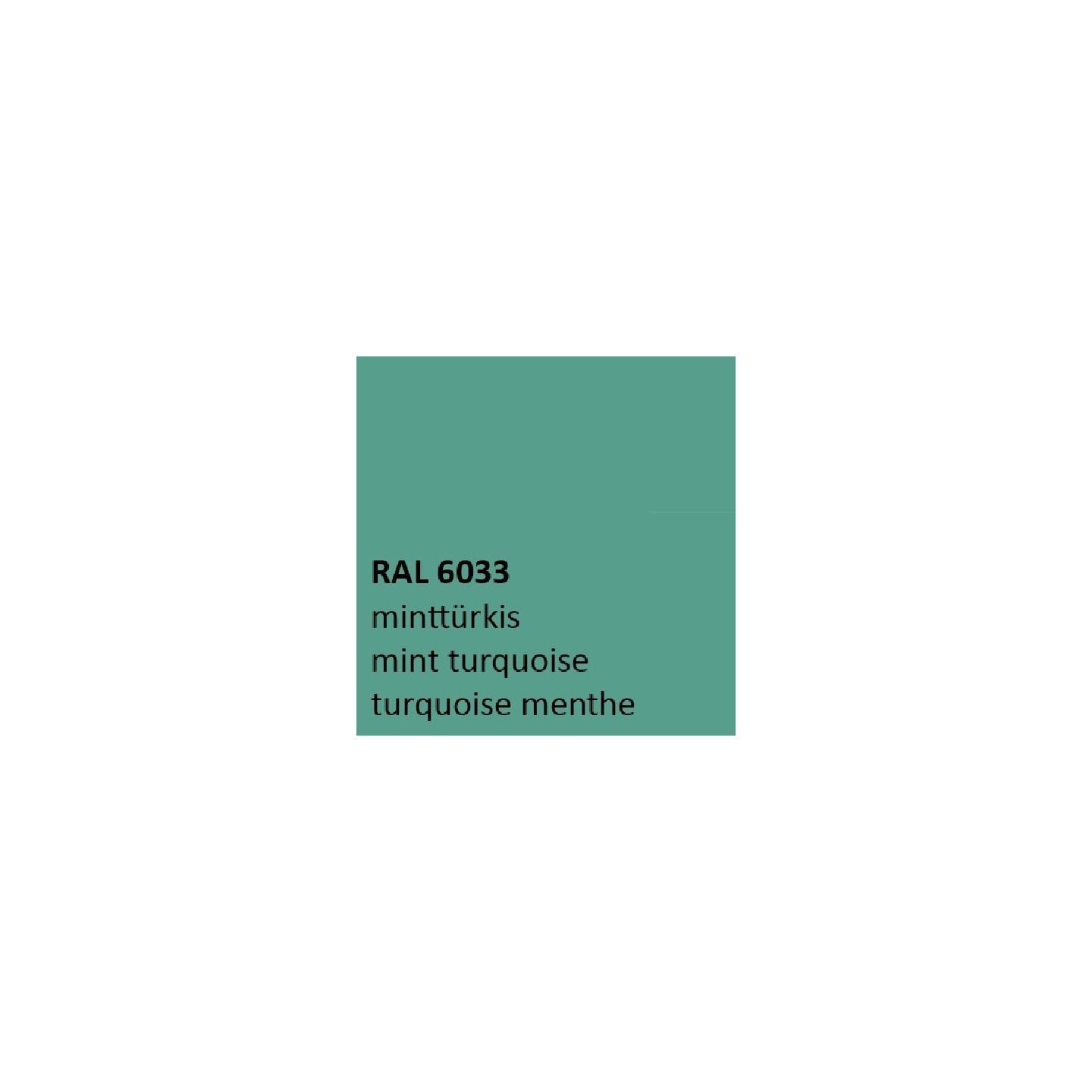 Mint turquoise RAL 6033 zijdeglans 500 gram