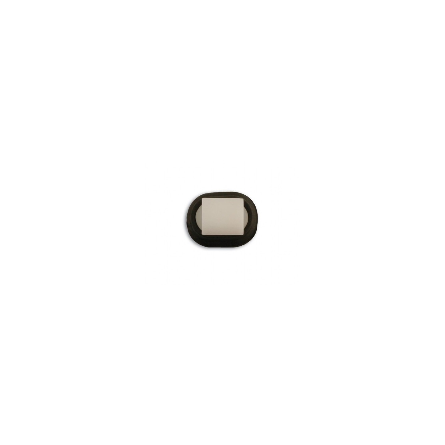 Clip Citroen/Fiat/Peugeot 10 stuks